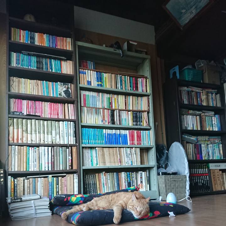 319640c4 0ff3 47b7 8cb9 537b08a6d22d 1662452860145