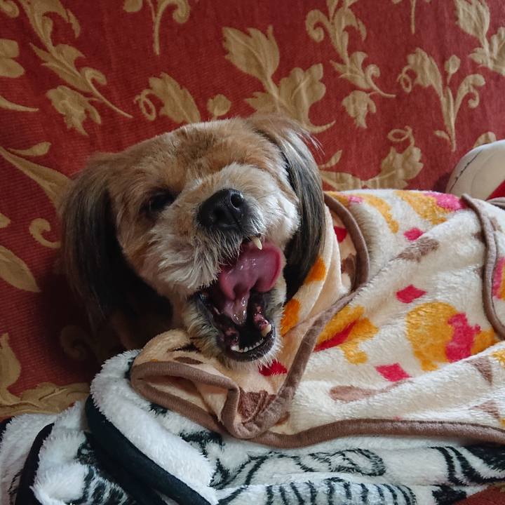 31966a24 0ac3 49a6 8da0 791b0d866ade 1580856761415