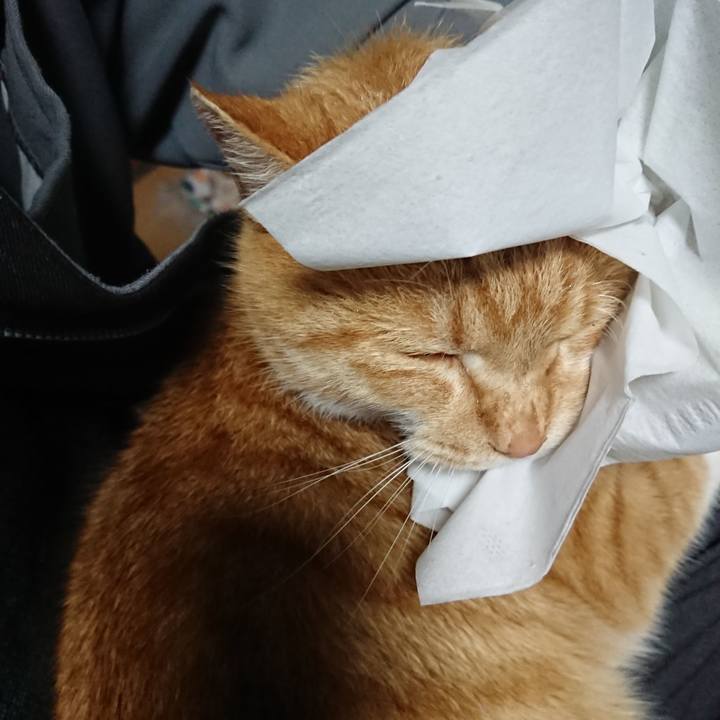 31966c4b d3bc 451f 8fbd 248c86efcf4b 1607292134324