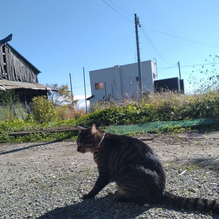 31969e95 db8b 45b1 a8b5 bff2bc902393 1666758359283