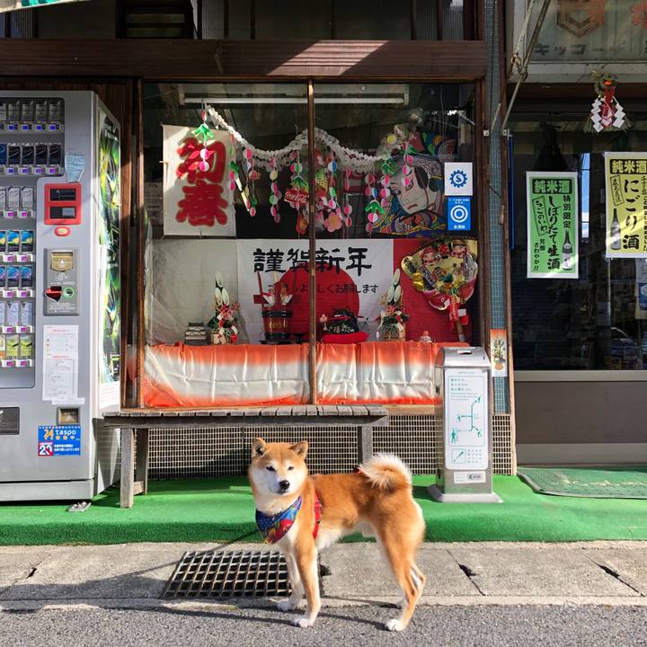 3196c87d 92c0 4333 bbbe 9ab2f7150a8c 1546417512974