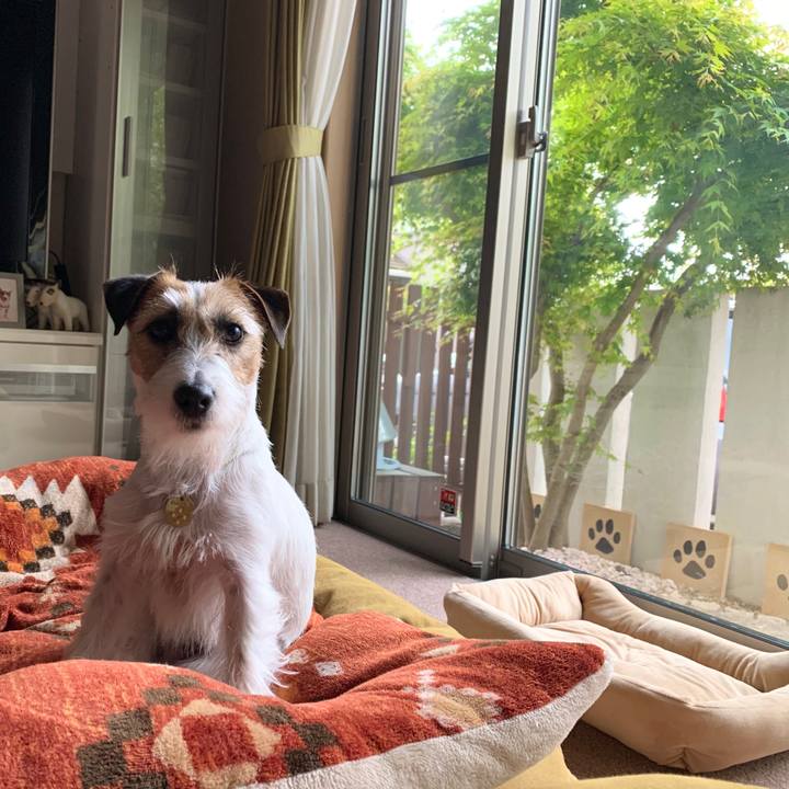 3196d39a cdc0 45d1 a0a2 538fbee8c67f 1588055705682