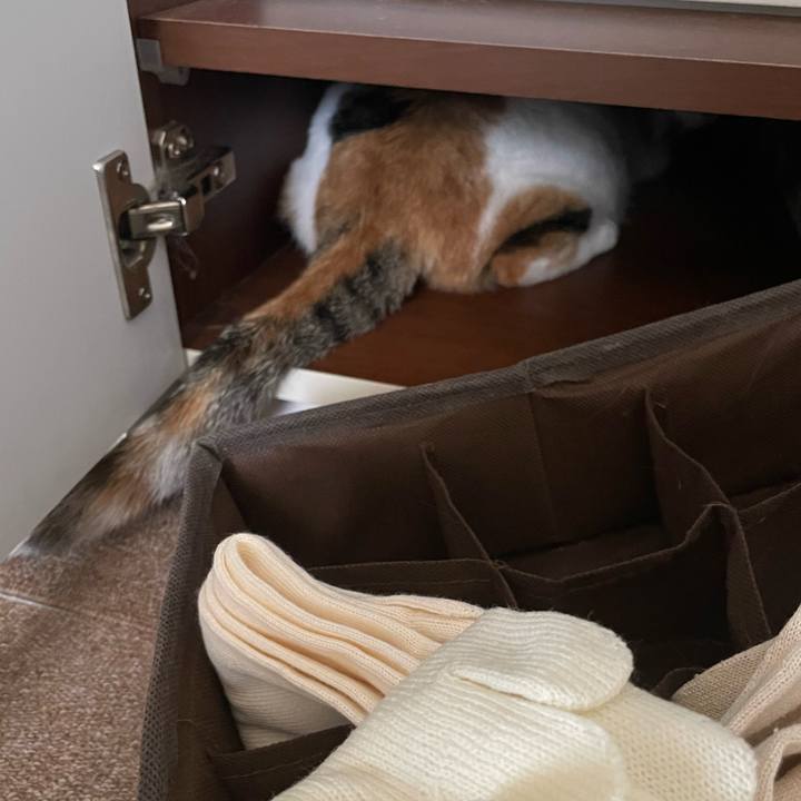 31970c4f a578 4bea af51 c292f233bf2c 1725493694578