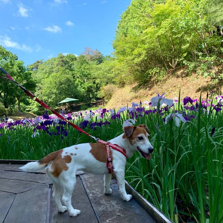 31970db7 9d36 4964 8910 9945aaec9dc0 1561565131661