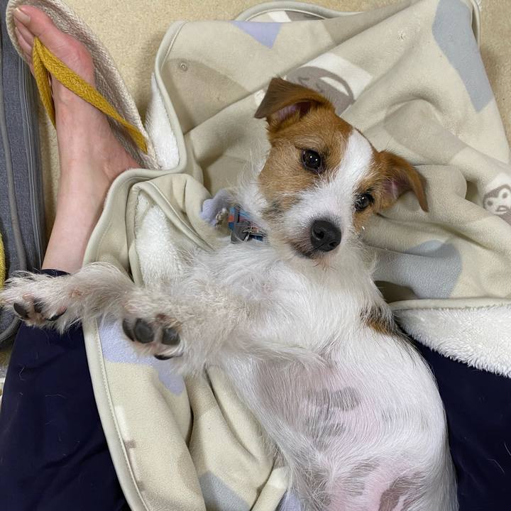 31974524 082f 4bfe ba30 055c89222c7a 1686053977945