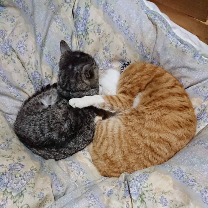 31976b3a 6114 4e85 a96f ddbe9b707760 1607254307102