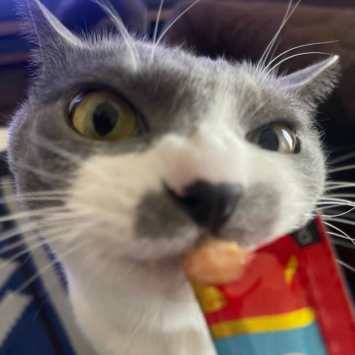 31976fcf 39d1 4e13 93e0 21a09f9e0a9b 1677827332126