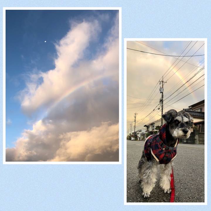 31978236 b5bb 4839 9184 c24f99f6f282 1668433910162