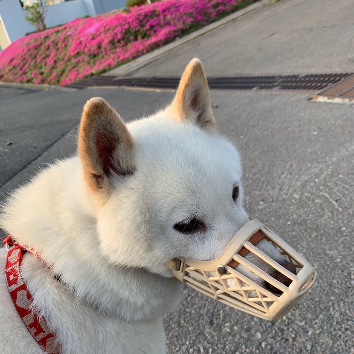 3197bdc8 d103 4d60 b9ab 6b84d2f70abc 1558124486594