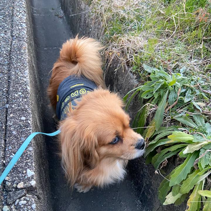 3197cf88 d9ba 4514 b898 2469d99de1a1 1580854001083