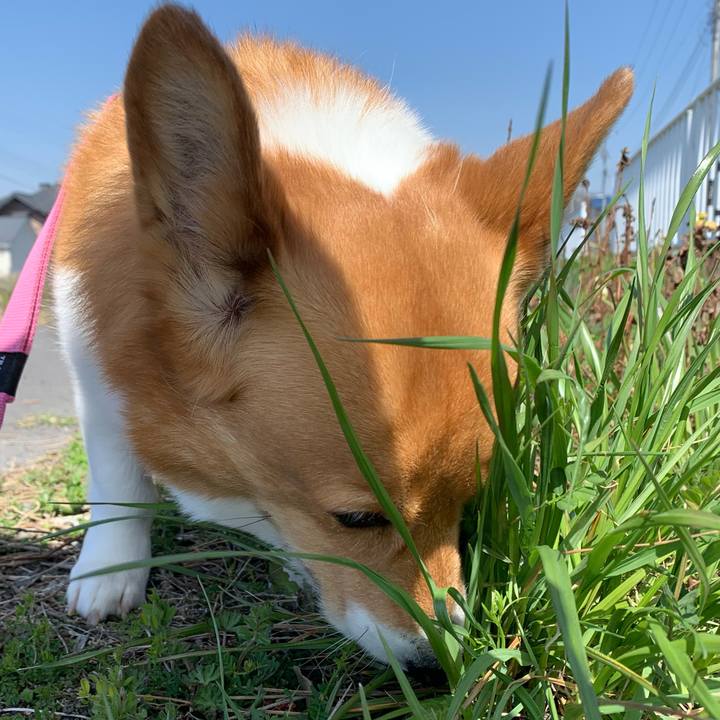 3197d805 f73b 432d 9ac7 e7d87afdcf7d 1679457964088