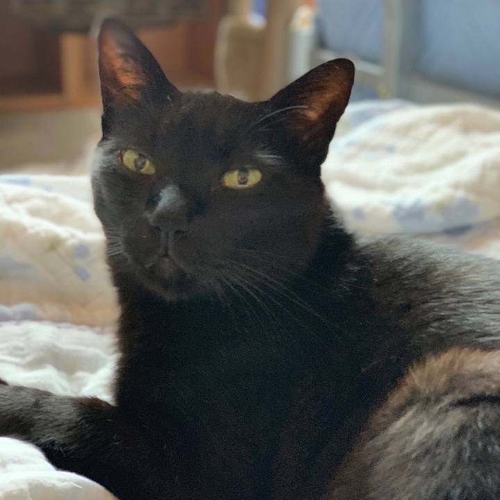 3197f168 09c6 4ef3 a686 fa8aa1f3b49f 1562893421622