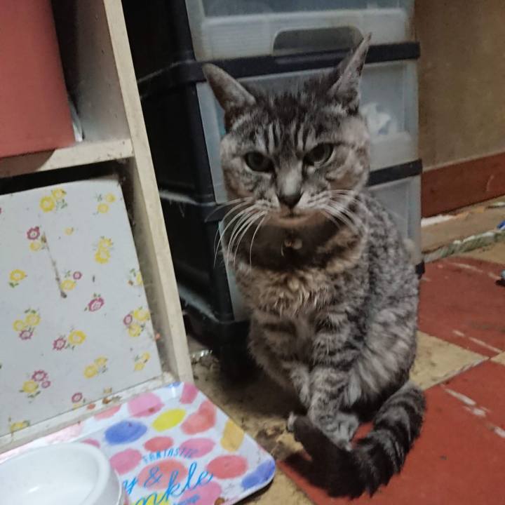 3198582e c755 49d4 8f05 2b969e9393c1 1605816054154