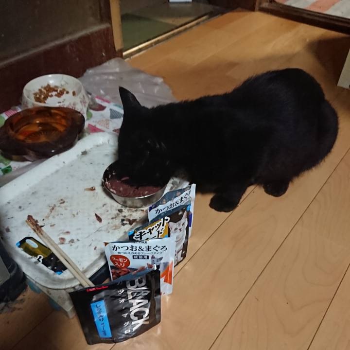 31986cbd 2c15 4a81 b986 c6c392445f10 1627733357542