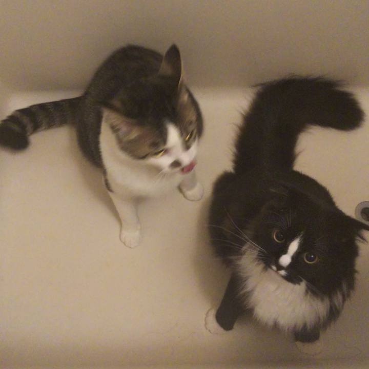 31988a17 c74a 40c6 bd7b 653d9315e6ed 1649890189699