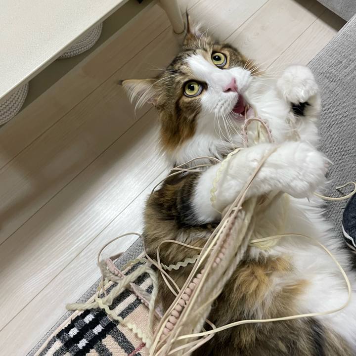 3198c7ab 96c5 497f 931d ead38b4d75a1 1666900748938