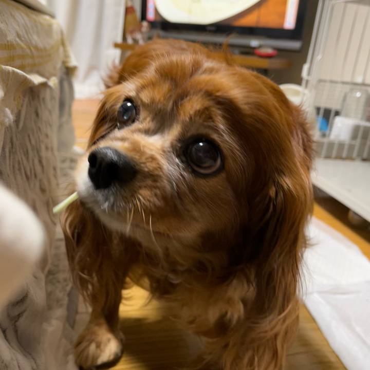 3198d964 277a 4c82 a33e 6028f396b47e 1731364106086