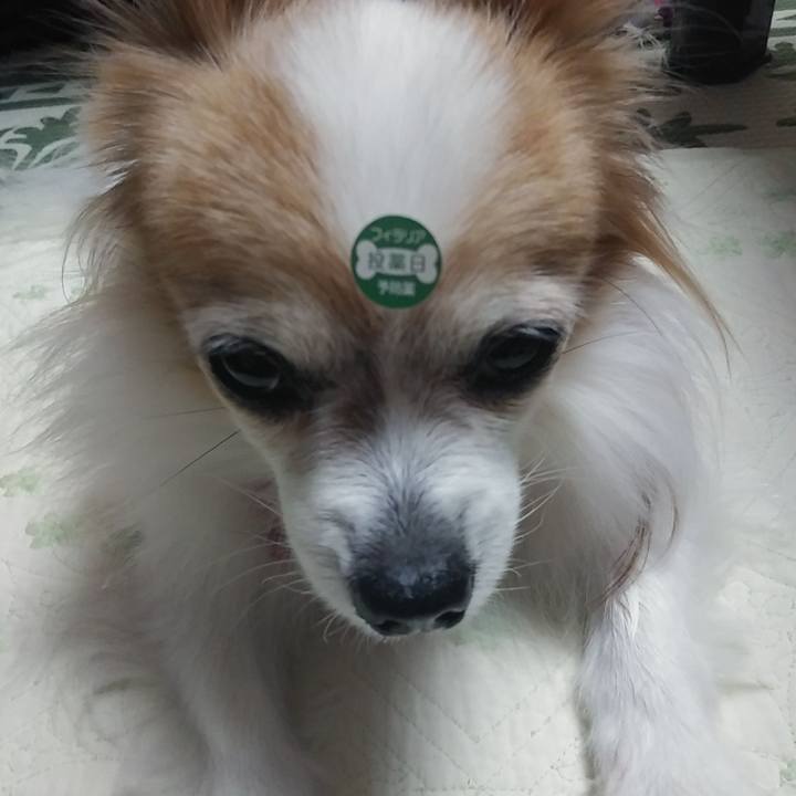 3198dda4 b15c 4dae 8ccd 623ca8a2c43a 1540820748196