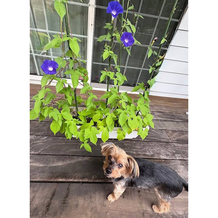 3198fc99 33f5 4b70 9f07 8f85ea1ca54d 1752362093940