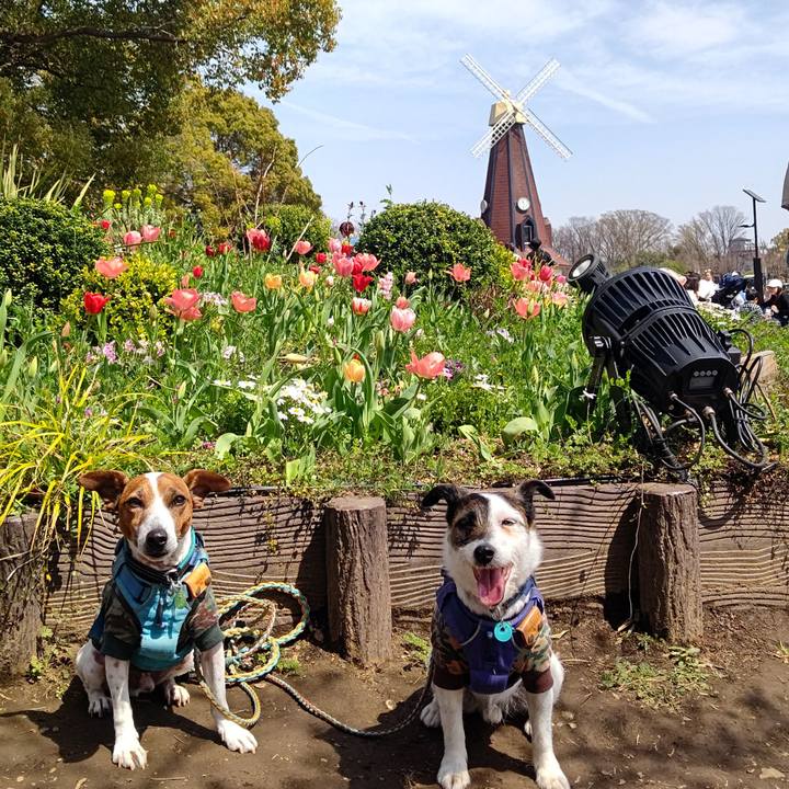 319919b6 1712 4d87 afec 10df9c858e07 1711873498585