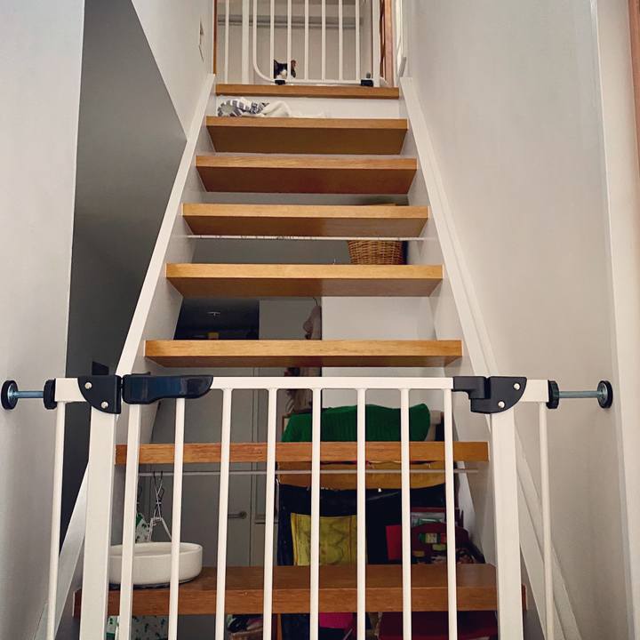 31991b1f 596b 425f 9c96 3abc422a1dc5 1592218892516