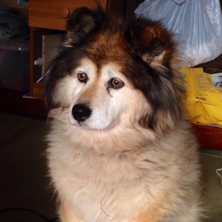 31992638 711d 4f78 bd93 1801cbb0d76d 1601592884478