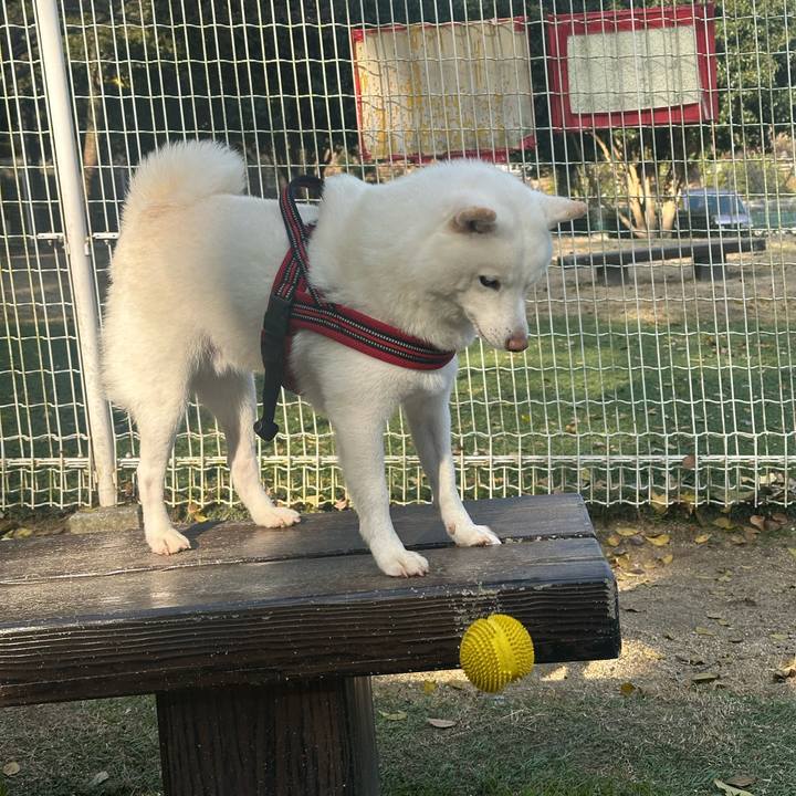 3199379d 97db 4c1d b67e 9df24e0eaebb 1766306950714