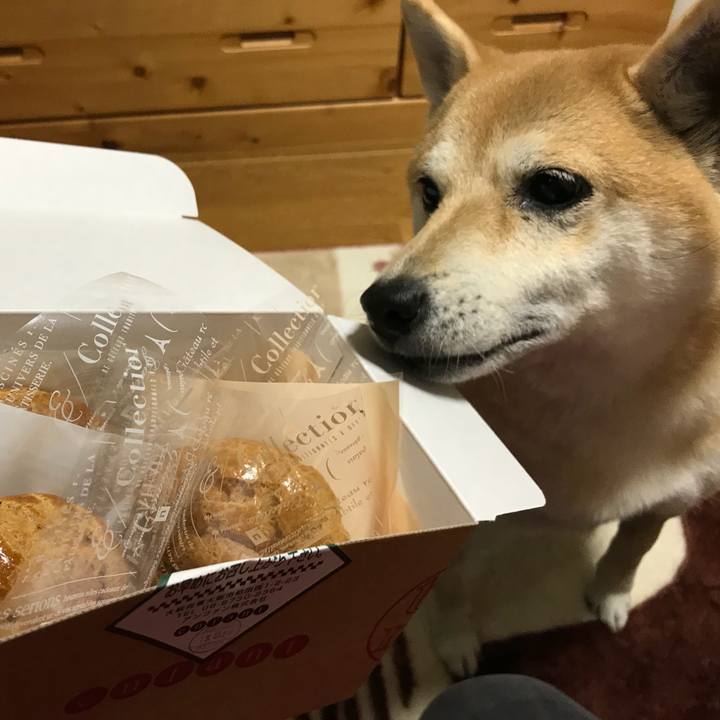 31994439 b618 4054 9737 ff1094173cc7 1513764286822