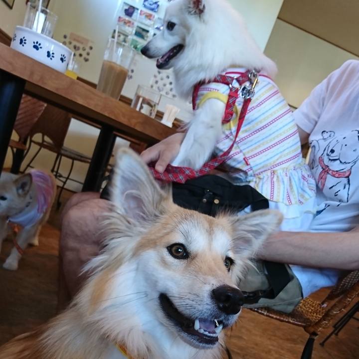 31994bff 2a7f 43de 8876 eb85db244282 1534509986613