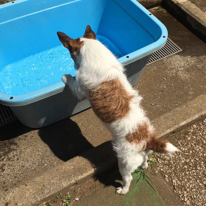 31994e5f 146a 45c0 9acb ef4538046f60 1566620990509