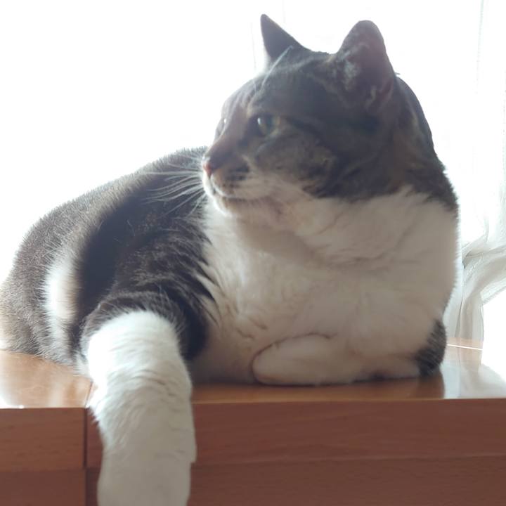 31995ee0 79c0 4cd9 818d cbbd1f9b406c 1623028113409