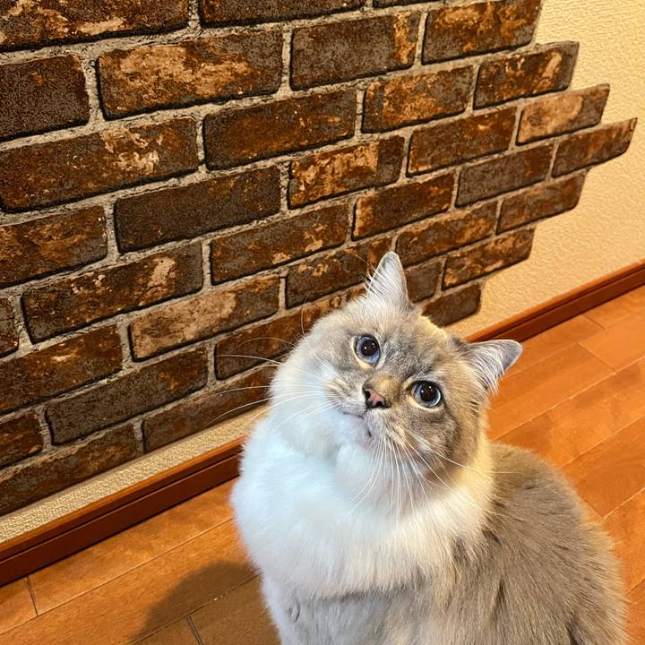 3199785c 7c65 4b1d 88eb 9b97d5891817 1649084821683