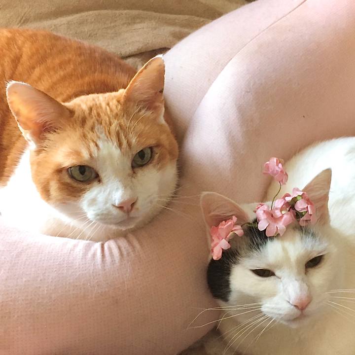 31997d76 79eb 4521 9345 c2a6ec5b7301 1618620873406