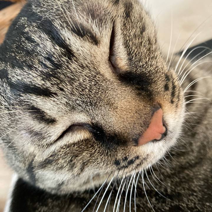 3199ad01 c9a6 4c56 9cf5 e3a9ed9a2c9a 1694072386556