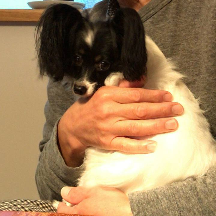 3199ec13 98d3 4314 940b 7a6200b9dd82 1508882025099