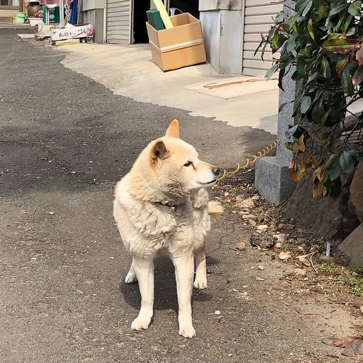 319a06f1 8005 4928 841b 21108741ec89 1551408593345