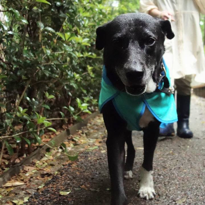 319a2e8e bedd 454f a366 c3c1039bf3ed 1681517915229