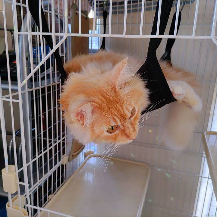 319a3180 d450 4adf b976 4591157b318e 1693351090457