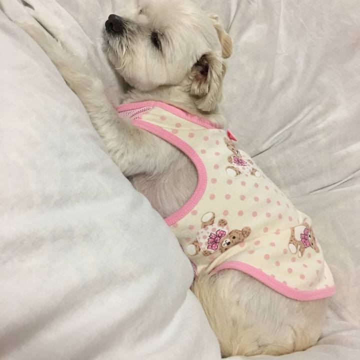 319a31bd 6aec 4750 8b05 ab9bd47c81c7 1525603442208