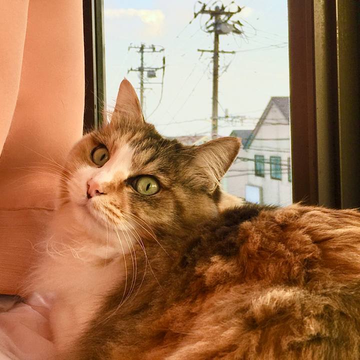 319a6a67 8f49 4801 8550 84b471c844fe 1614238734065