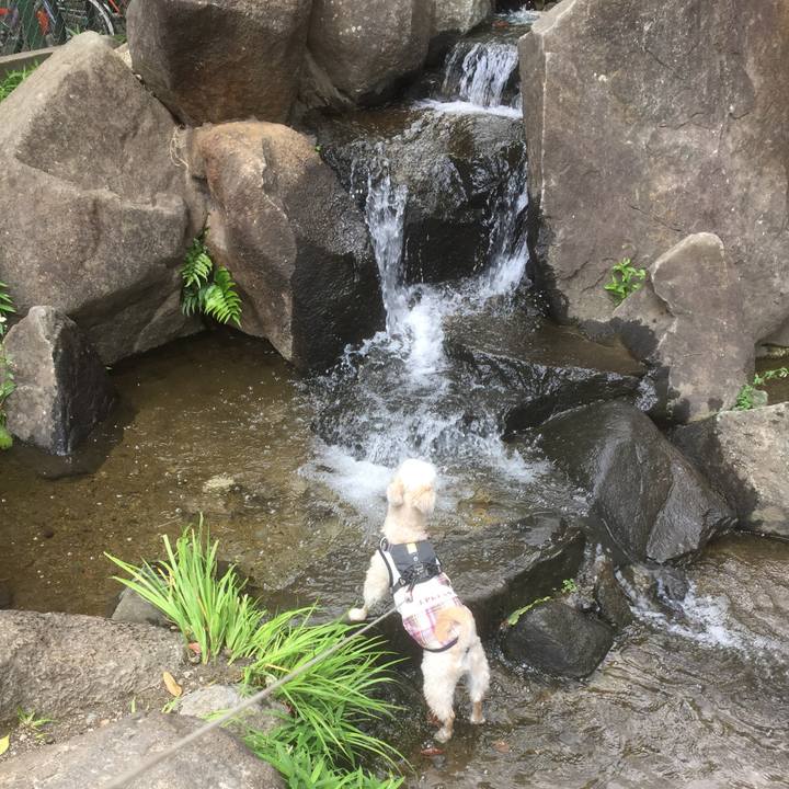 319a91d6 0895 458e 9c33 d3e70bb63b6e 1559361153833