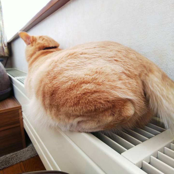 319a98e5 5d60 4ac9 8c7c d91be98d9e71 1646011963969