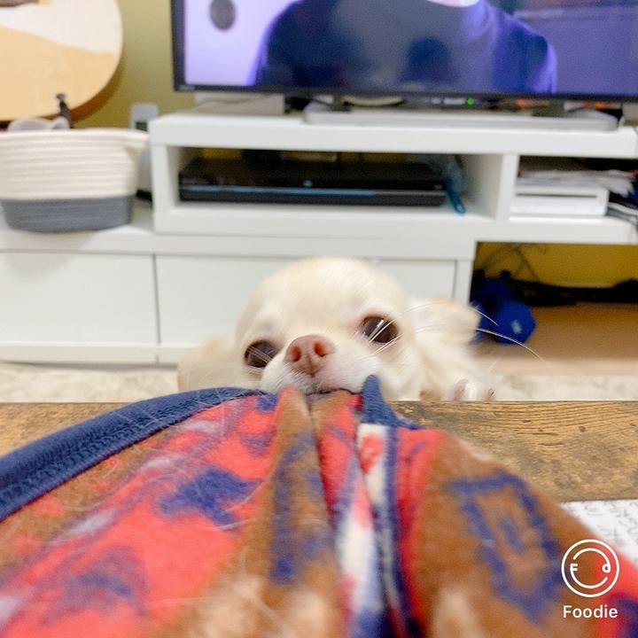 319abf12 4869 498a 9af3 cc930dcb9609 1604563227356