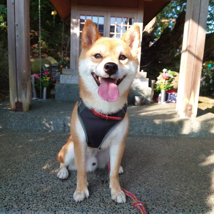 319afa16 9f8c 4e08 b0ce ab517f6f8f4b 1757915811005