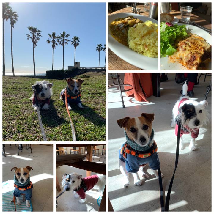 319b1e56 b019 4843 b662 da5c0828dffc 1575084944004