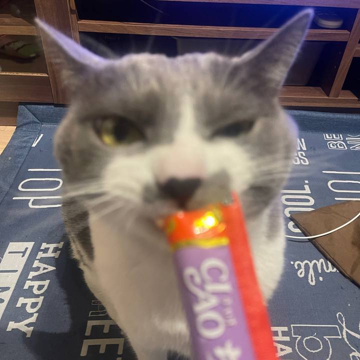 319b536b 765f 43d2 8595 924ba28cfe60 1703923531591