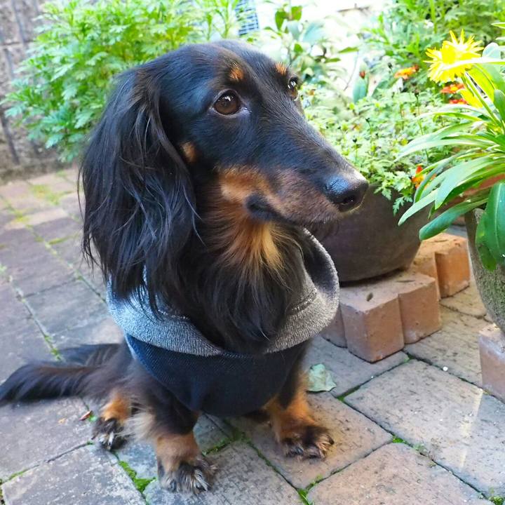 319b631c e167 4cd6 b474 05f8b0e08121 1513734420600