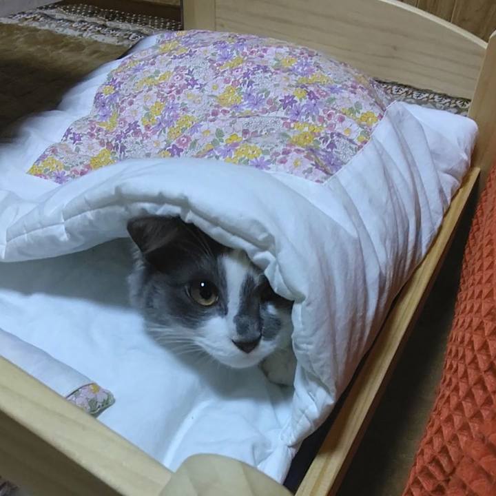 319b7ca3 2581 4e75 baa2 5f240664be79 1574330540529