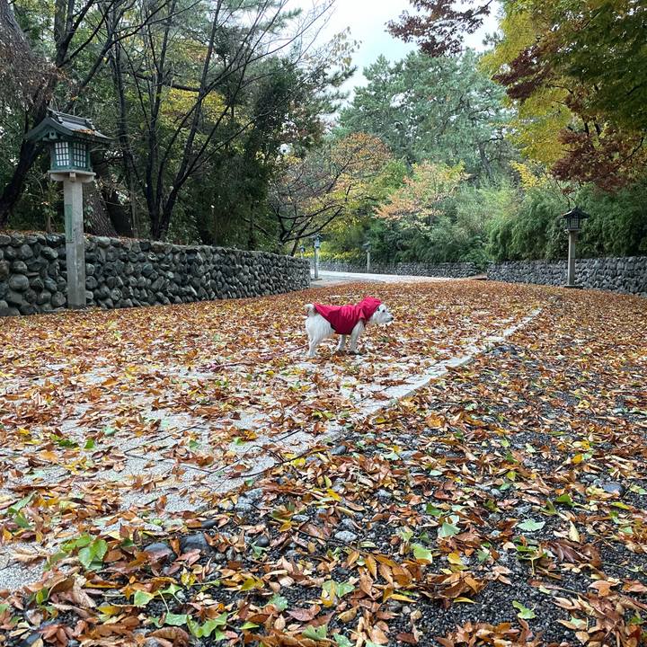 319b9103 61fb 452c b56b 7480a8188c78 1731969816024