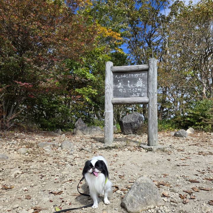 319bc387 3ff4 4f52 b7e4 ffb9ce0b1864 1760093887246